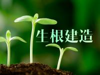 生根建造